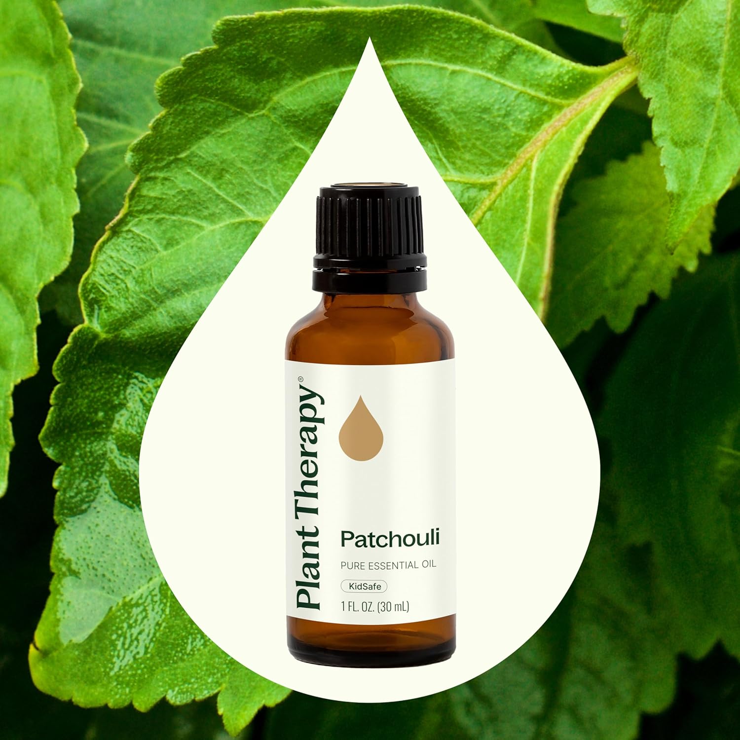 Plant Therapy Patchouli Essential Oil 30 mL (1 oz), 100% Pure, Undiluted, for Aromatherapy, Skincare, Meditation, and Relaxation