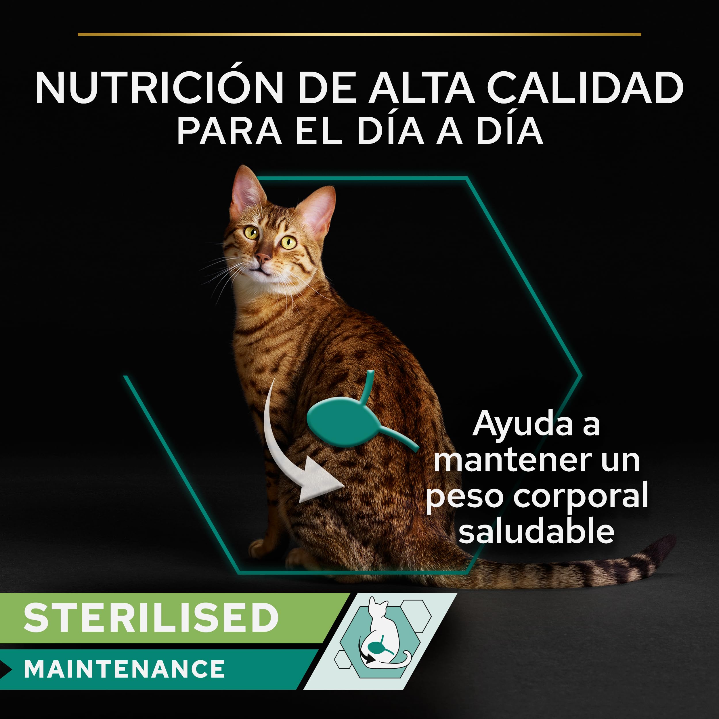 Pro Plan Comida Húmeda gato Esterilizado samón/atun Multipack 12x85 g