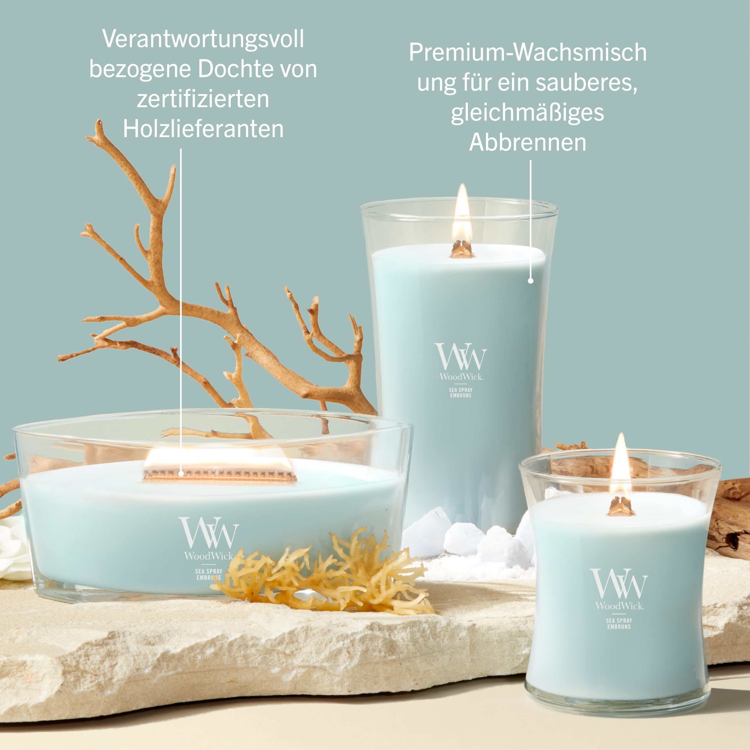 WoodWick Duftkerze | Mittlere Hourglass-Kerze | Sea Spray | Perfekte Geschenke für Frauen