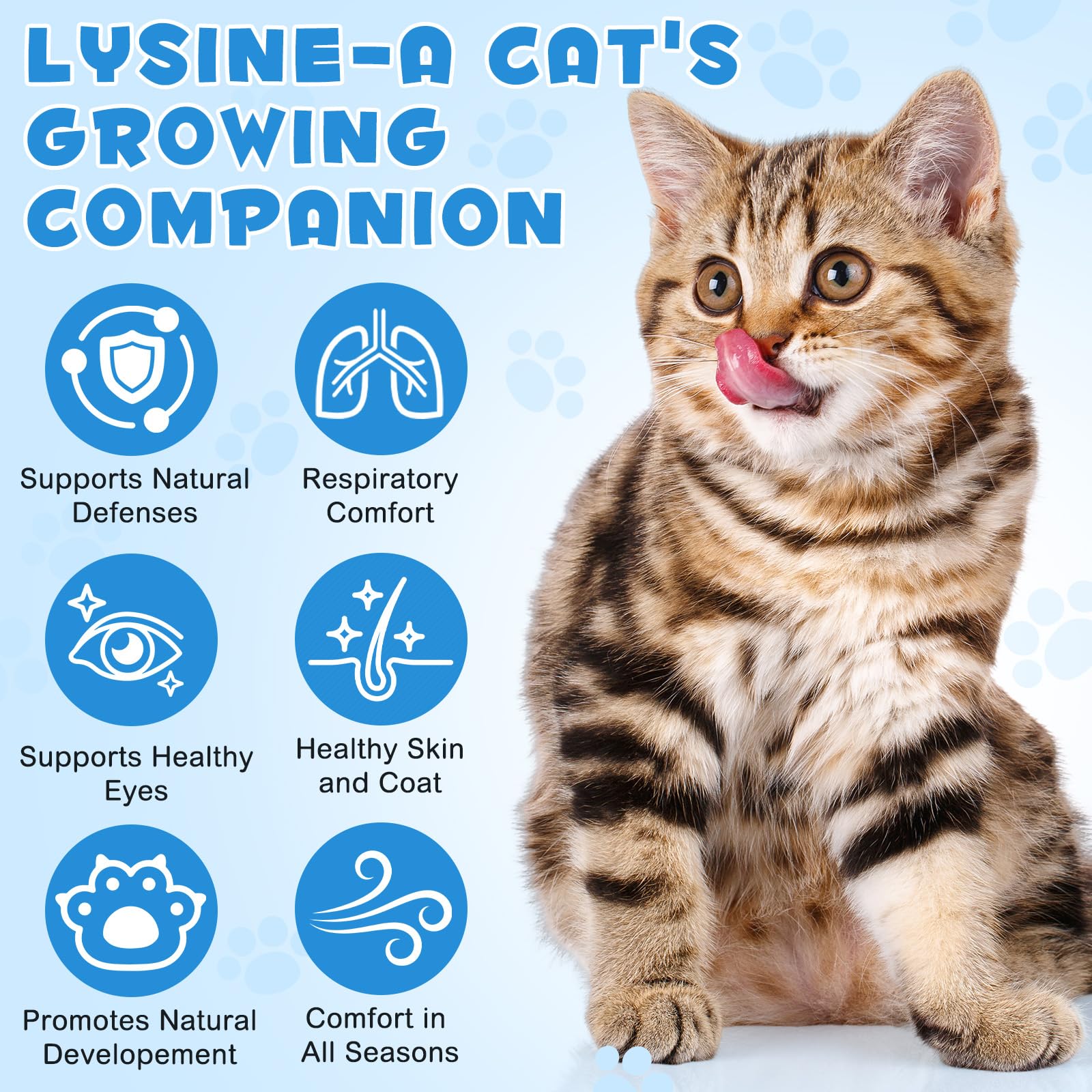 Lysin Cat - Gocce L-lisina per gatti, Supporta la salute del sistema immunitario, Allevia le allergie, favorisce la funzione respiratoria, mantiene la salute della pelle e del pelo 60 ml