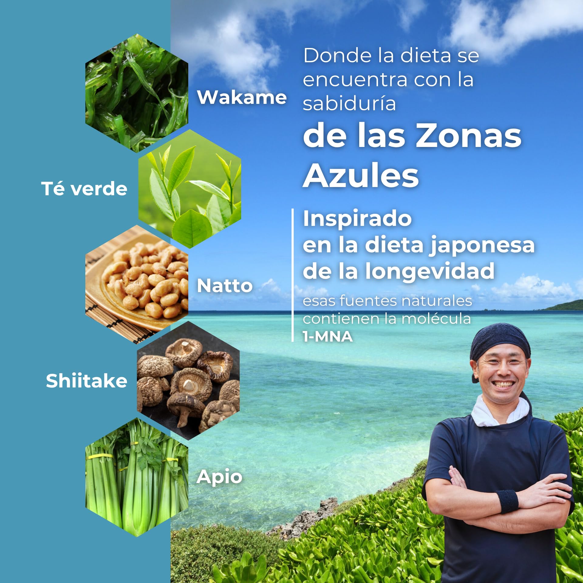 1-MNA Brain, Suplemento Antiedad, Optimiza NAD+ con Ginkgo Biloba, Zinc, Biotina, Vitaminas C, B1, B5, B6, B12, Biohacking, Salud Celular, Memoria, Enfoque, 30 Cápsulas