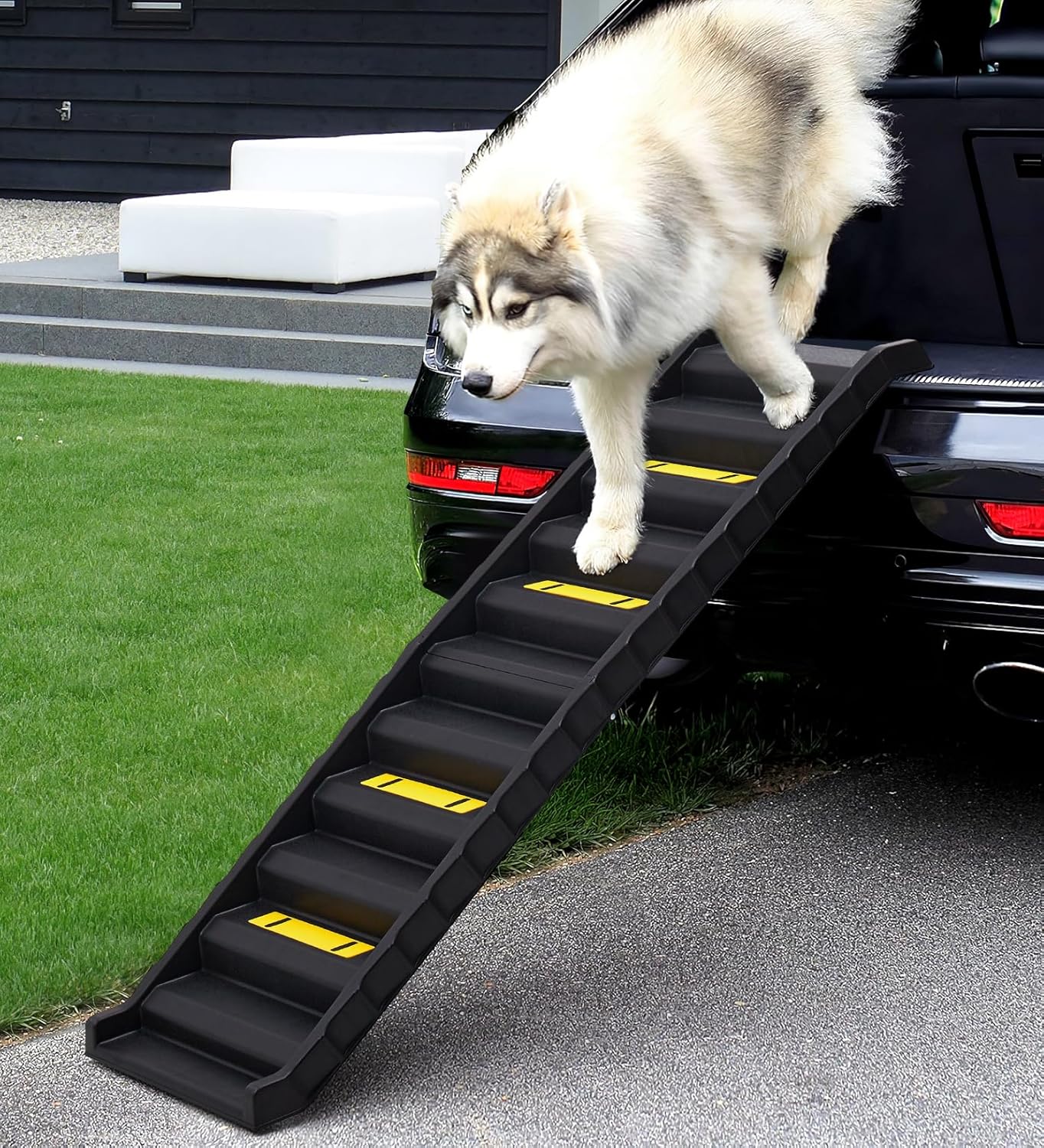 The Fellie Folding Dog Ramp, 61"L Portable Lightweight Dog Car Ramp, Pet Ramp for Medium & Large