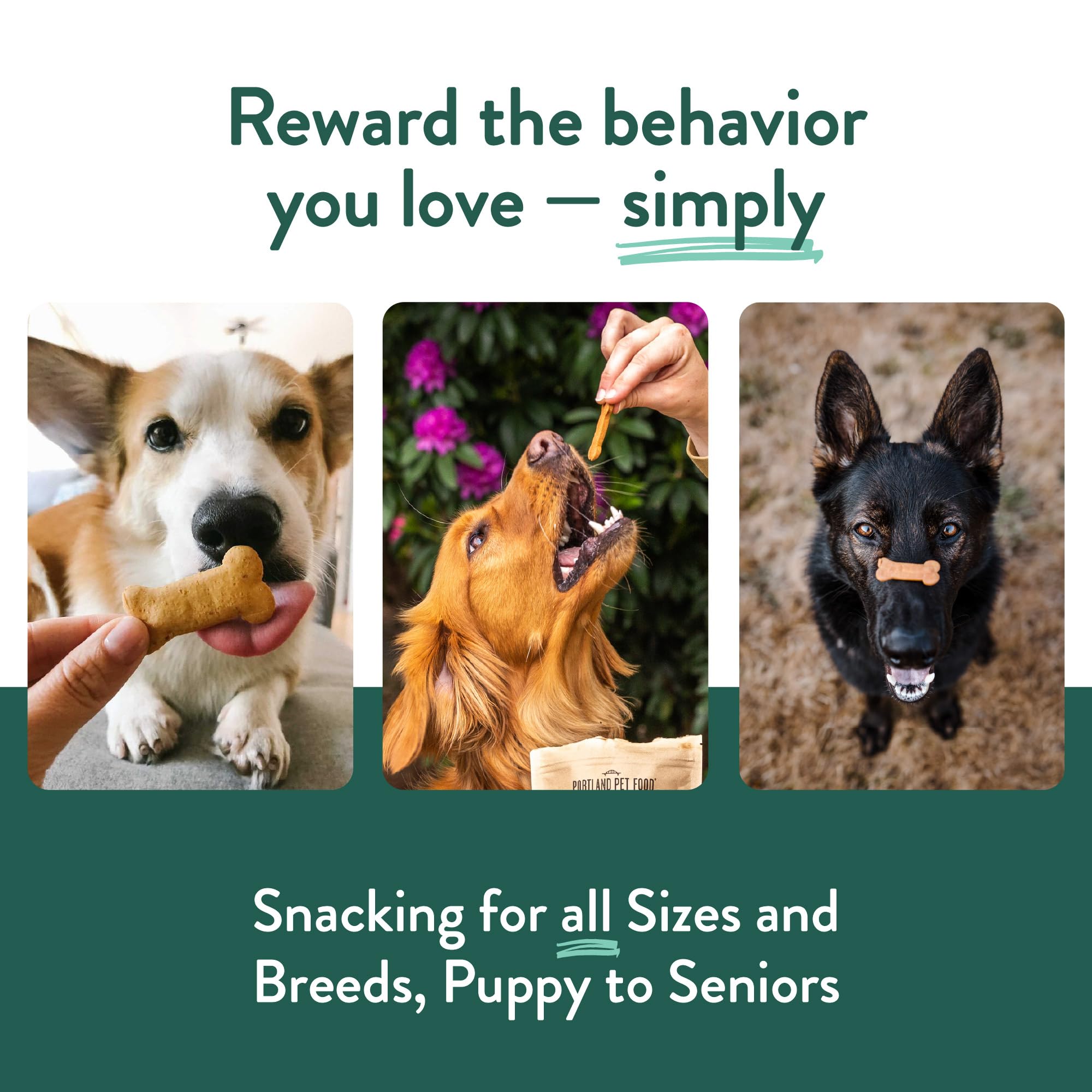 CRAFTED BY HUMANS LOVED BY DOGS - Dolcetti sani per cani di Portland Pet Food Company, confezione assortita di 3, senza cereali, di grado umano, di Pan di zenzero