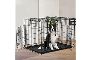 48 Inch Large Dog Crates and Cages for Inside and Outside