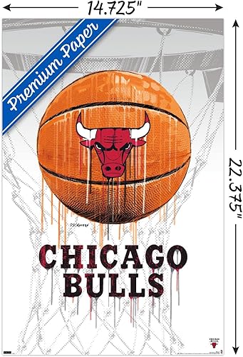 Miniatura 9 de Trends International NBA Chicago Bulls - Póster de pared de Drip Basketball 21, 22.375 x 34 pulgadas, paquete de póster y montaje