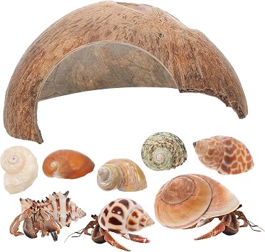 1set Crab Hideout Coconut Shell Shelter Large Conch Shells Zoo Accessories for Crab Tank Decor