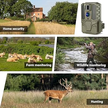 WILDSWANS　2025 TL-ADLER（CAMEL） WILDSWANS 2025 TL-ADLER（CAMEL） WILDSWANS 2025 TL-ADLER