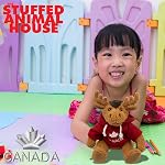 10 Inch Moose Plush with Solid Red Canada Hoodie and Maple Leaf Embroidery (Solid Red)