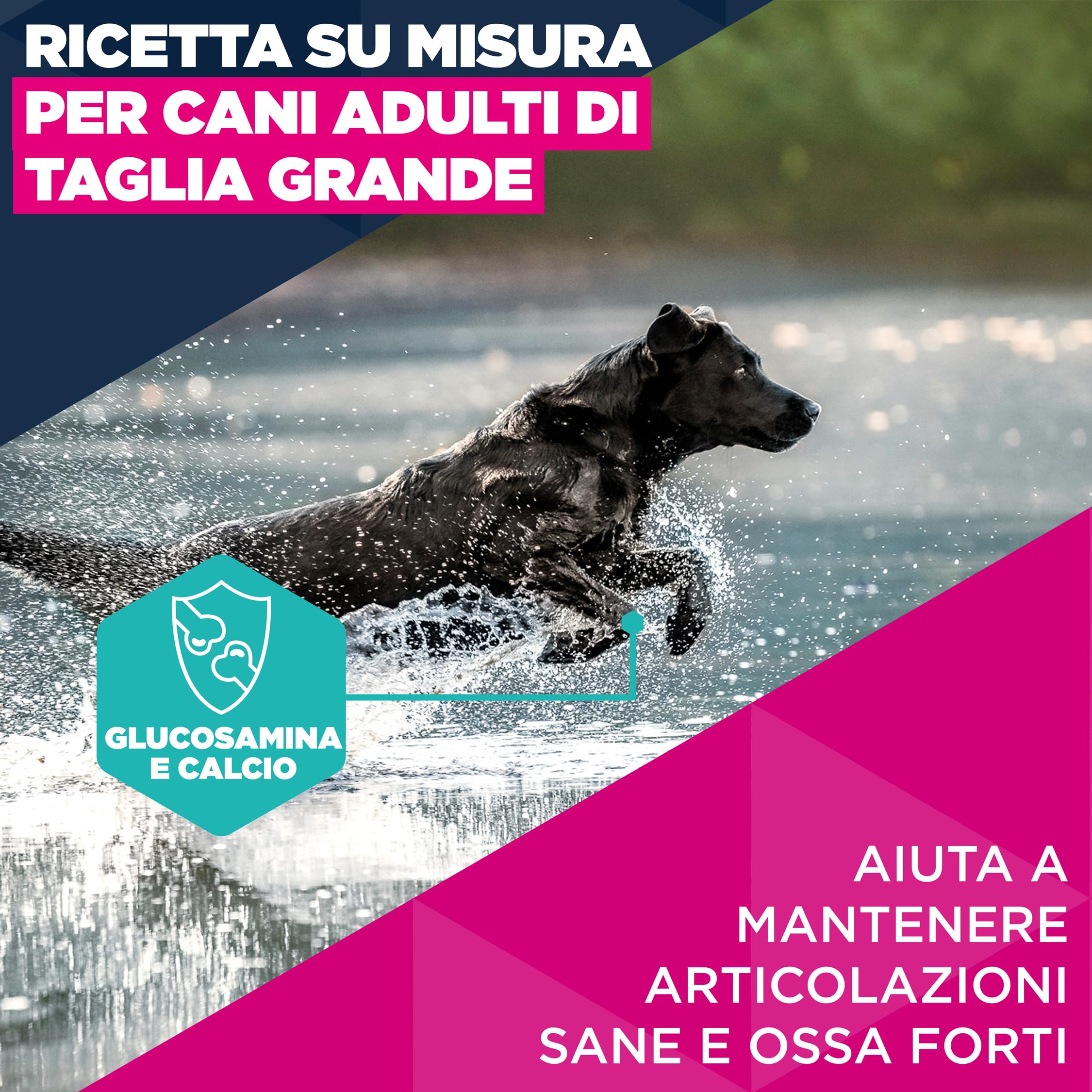 EUKANUBA Cibo secco per Cani con pollo fresco per razze di taglia grande, 15 kg
