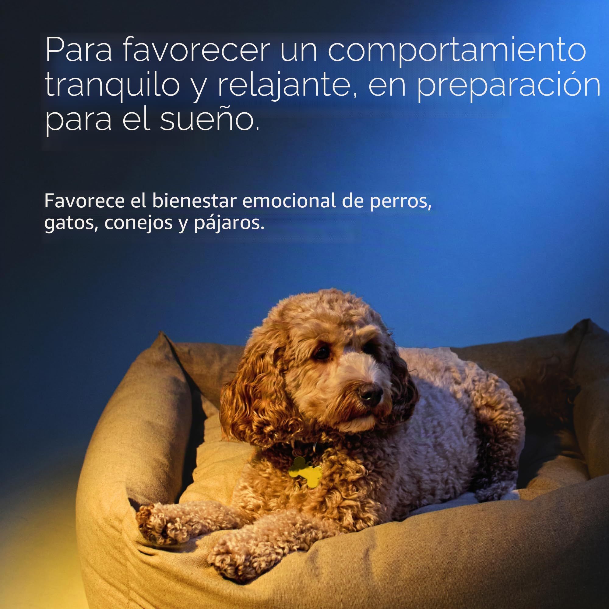 RESCUE NOIT PETS – Cuentagotas – Serenidad para animales – Ideal para viajar, aseo, ruido, vegano y sin alcohol – 20 ml