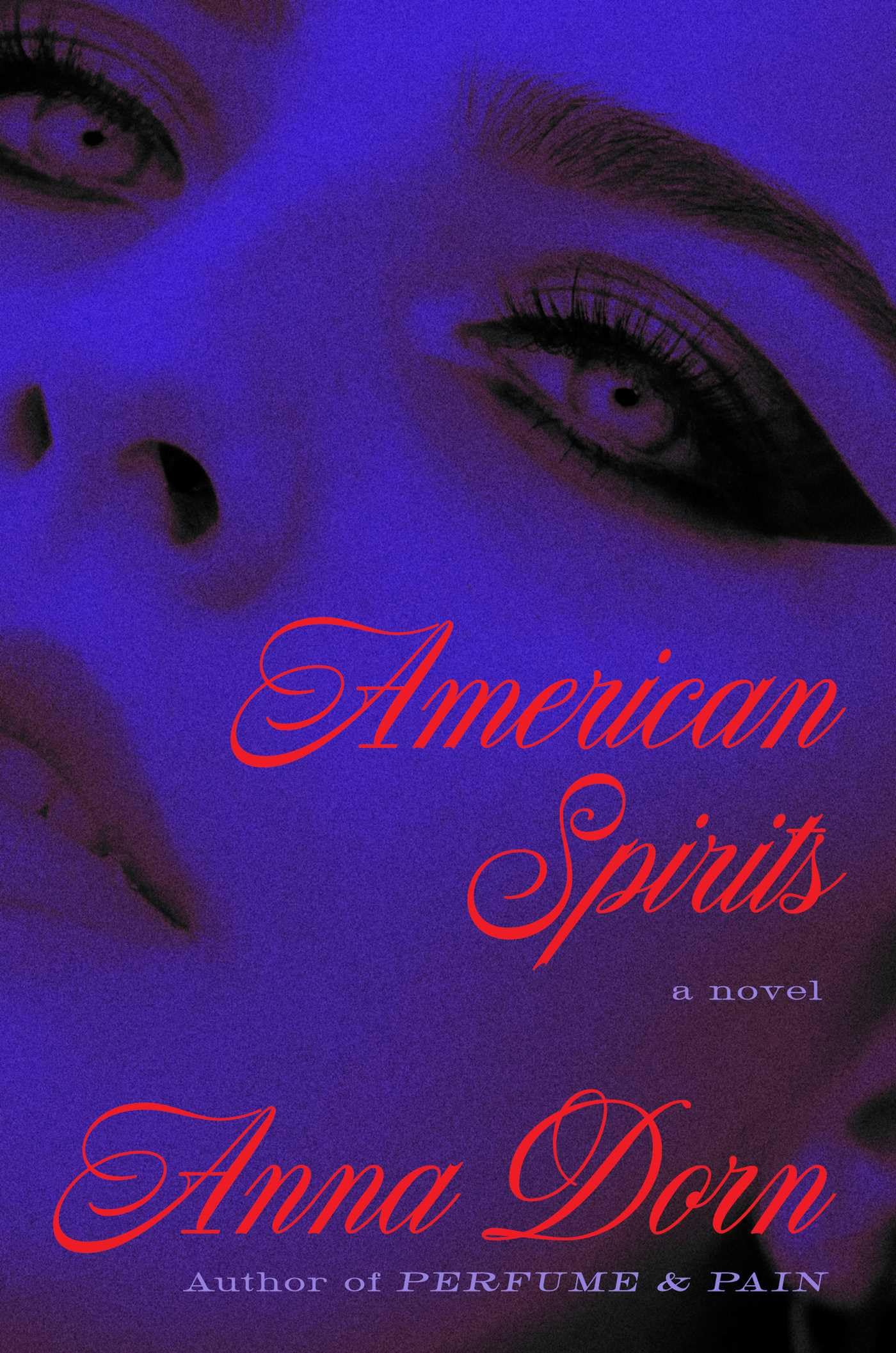 American Spirits by Anna Dorn HARDBACK 9781668085530