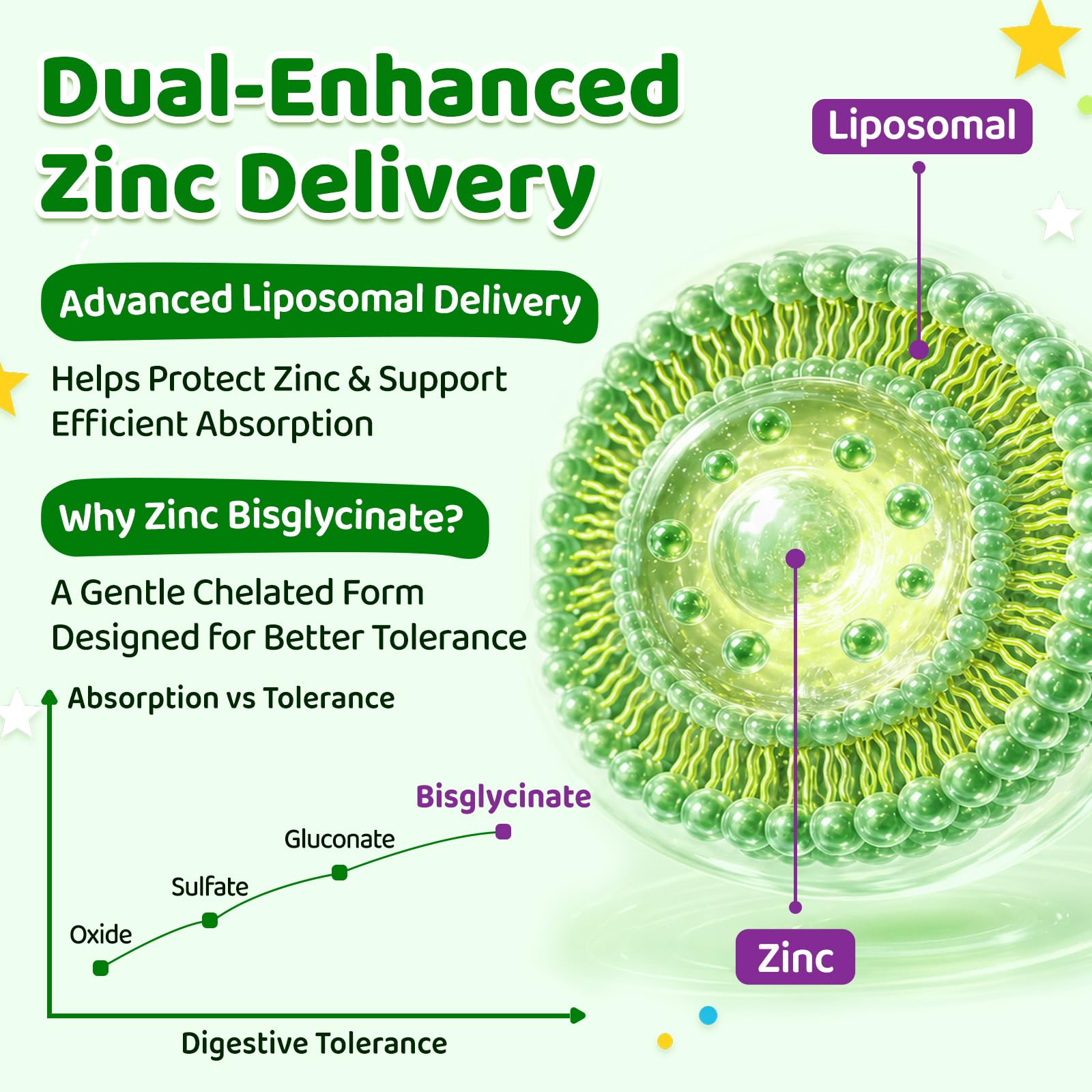 Liquid Zinc Bisglycinate Drops for Kids, 15mg Zinc per 2 mL, Vegan, 2 Fl Oz — Amazon image 5