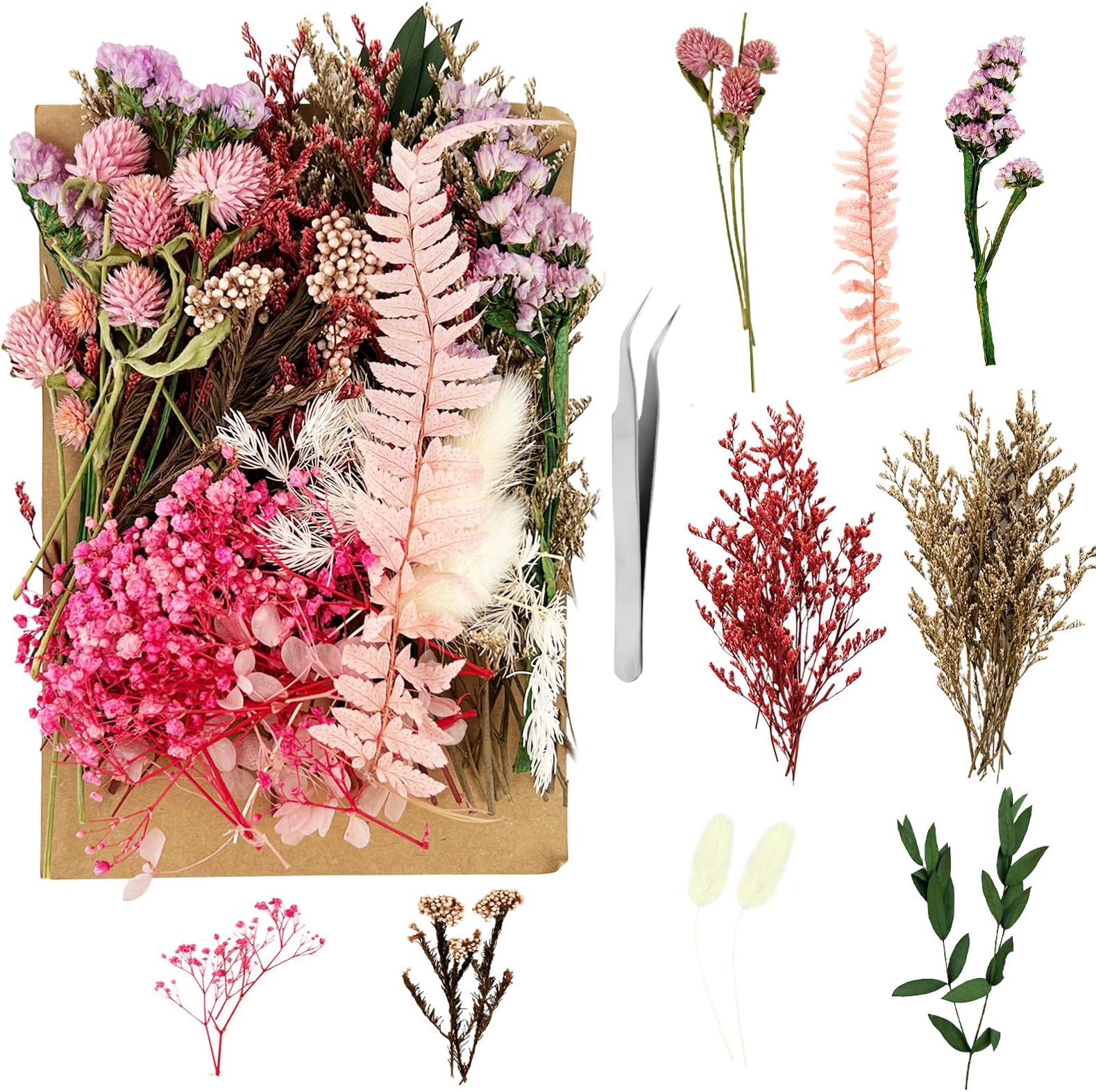 Real Dried Flowers, Natural Dry Flowers Mixed Natural Pressed Flowers