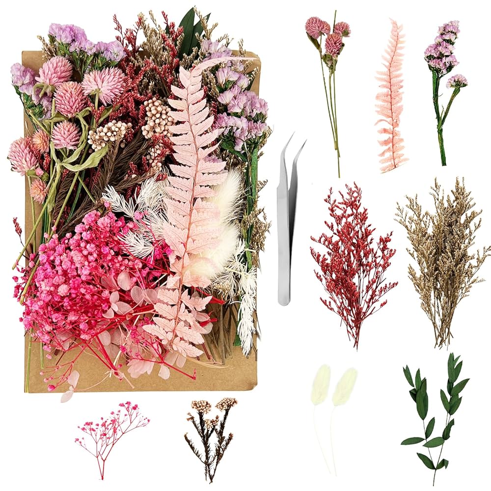 Aazon.co: Nuanchu Ini Dried Flower Bulk Pressed Flowers For Crafts