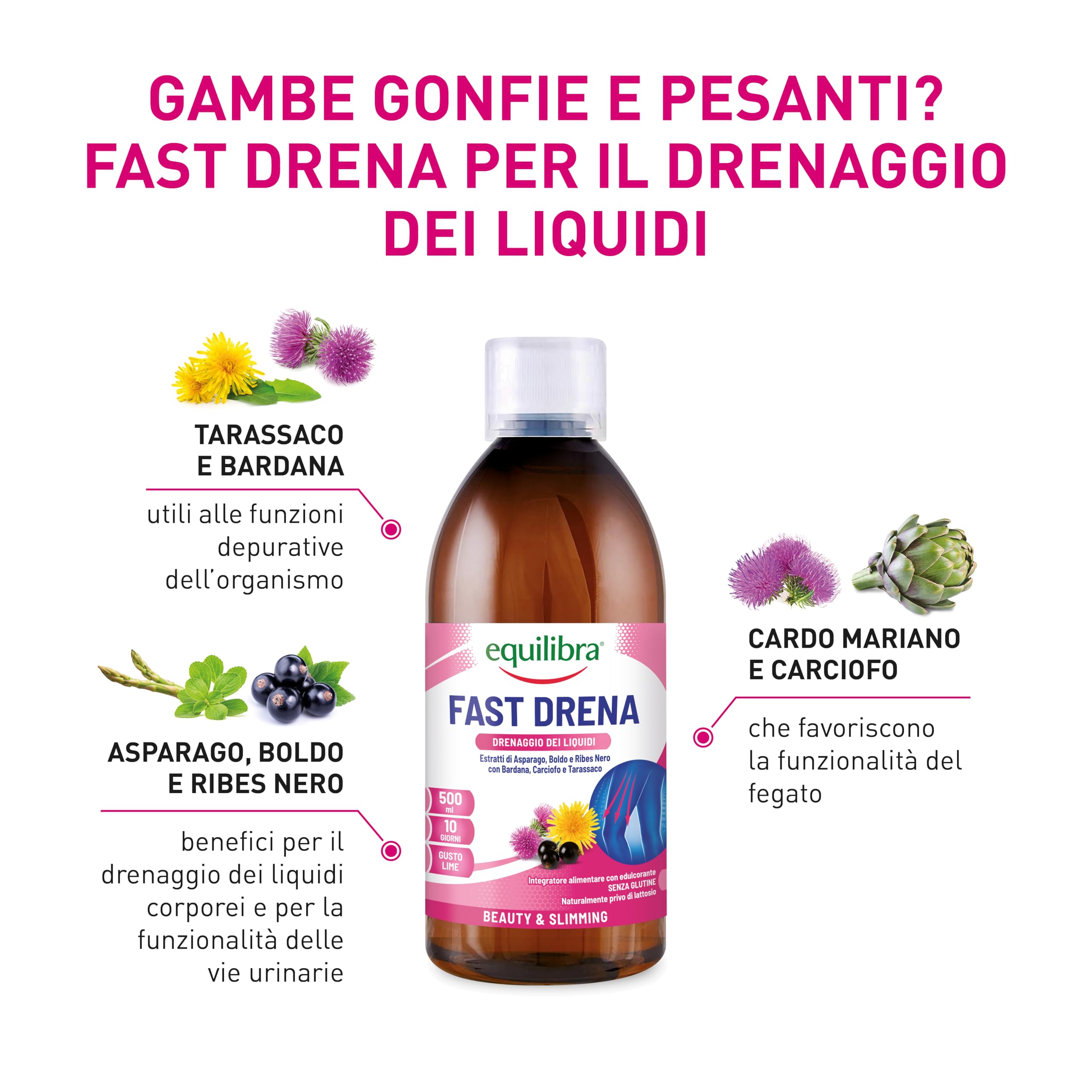equilibra Integratori Alimentari, Fast Drena, Integratore a Base di Estratti Vegetali, per il Drenaggio dei Liquidi, la Funzionalità delle Vie Urinarie e del Fegato, da Diluire, Gusto Lime, 500 ml