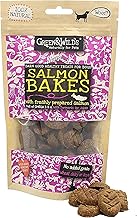 Green & Wilds Eco Friendly Natural Dog Treats/Biscuits - Fish Salmon Bakes