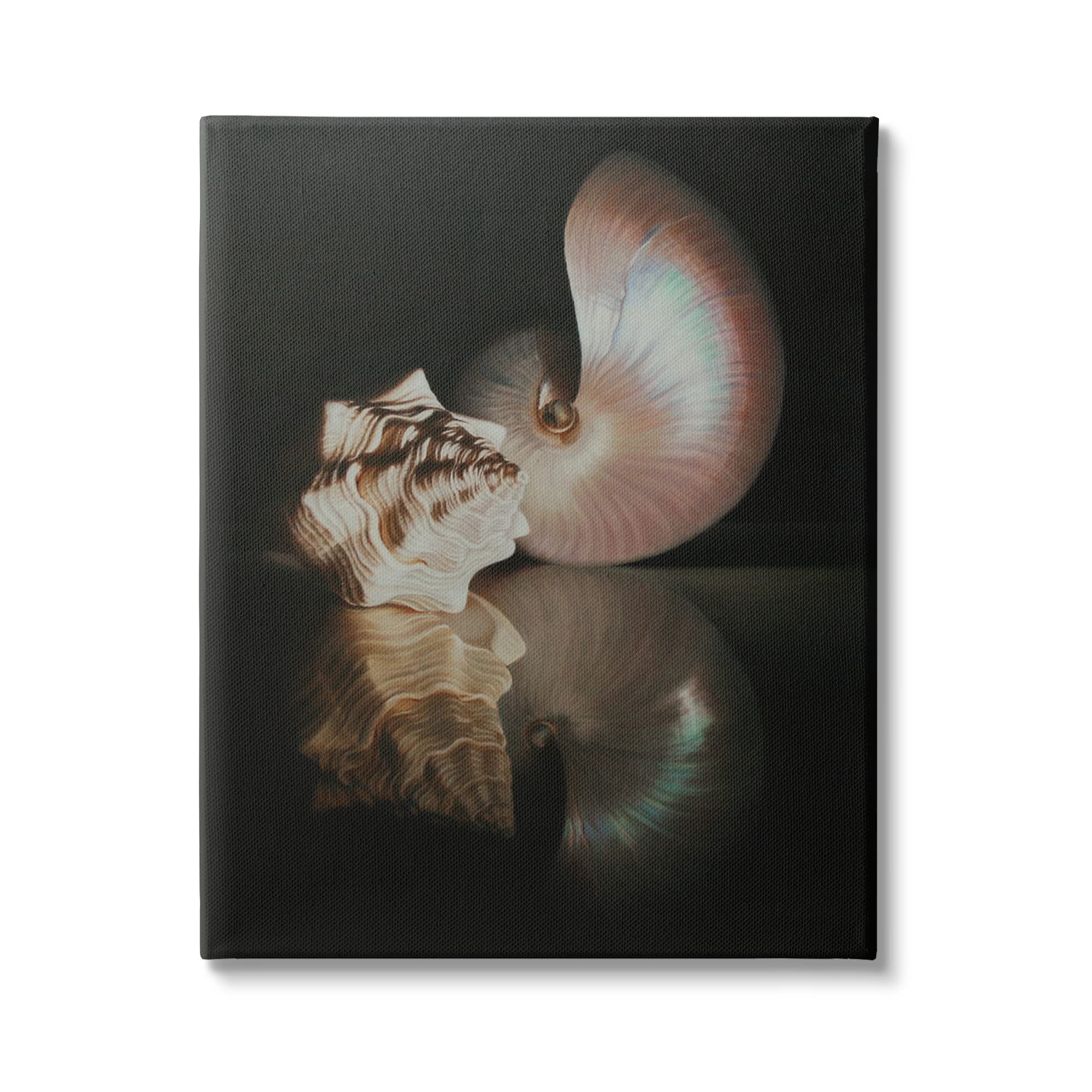 Stupell Industries Dark Sea Shells Still Life Canvas Wall Art, Design by Cecile Baird
