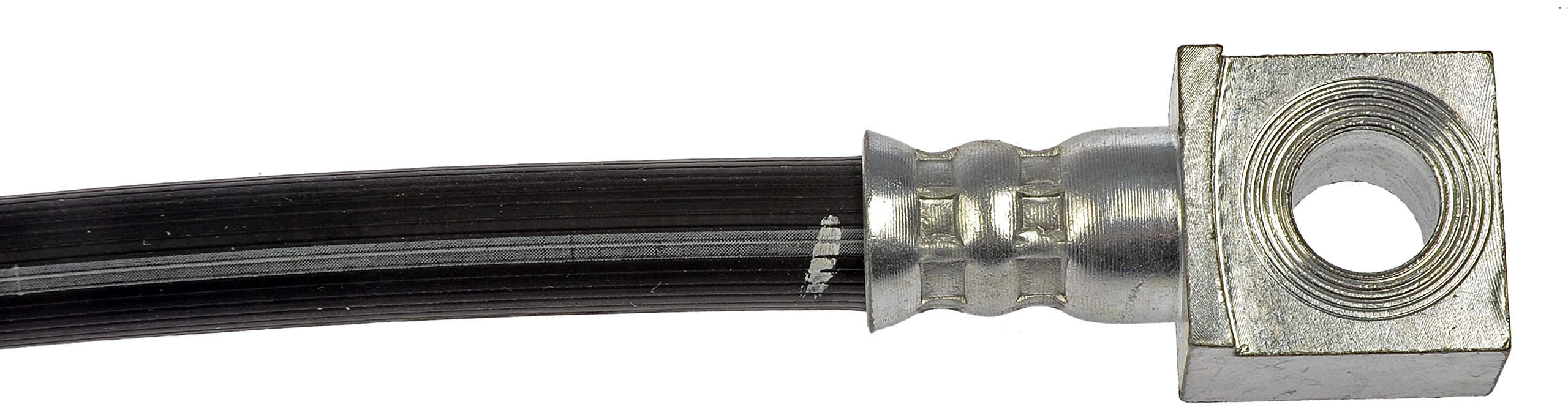 Amazon.com: Dorman H621318 Brake Hydraulic Hose Compatible with 
