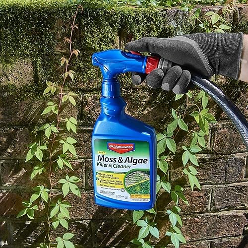Miniatura 6 de BioAdvanced Limpiador y asesino de musgos y algas 2 en 1, listo para rociar, 32 onzas con control de hongos BioAdvanced para césped, listo para