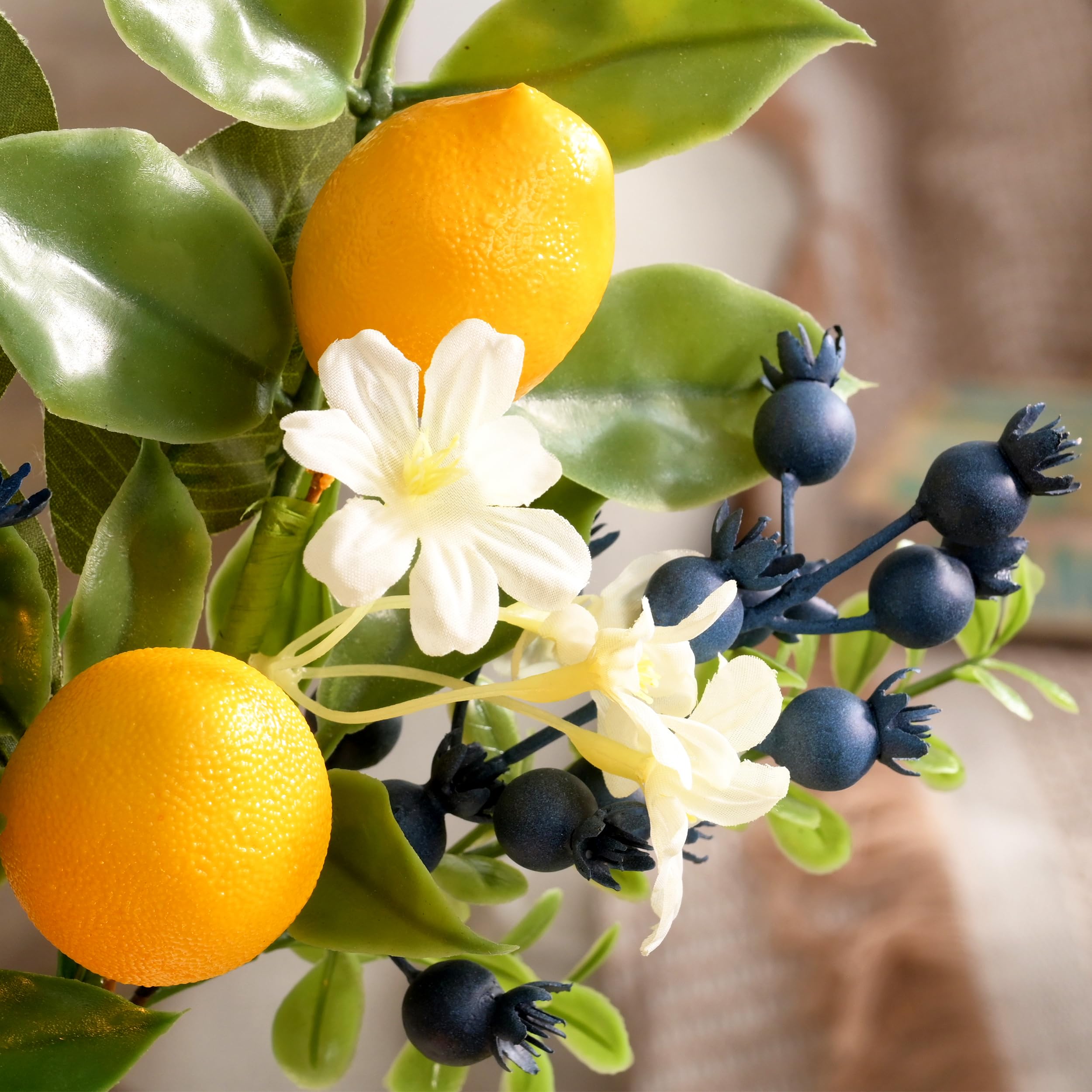 【レモングラス様】リーフ ナプキンホルダー 展示品(H-2507IN49) Amazon.com: Valery Madelyn 6 Packs Spring Summer Picks with Lemons