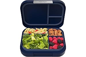 Leak-Resistant Bentgo Box: The Ultimate Mealtime Companion