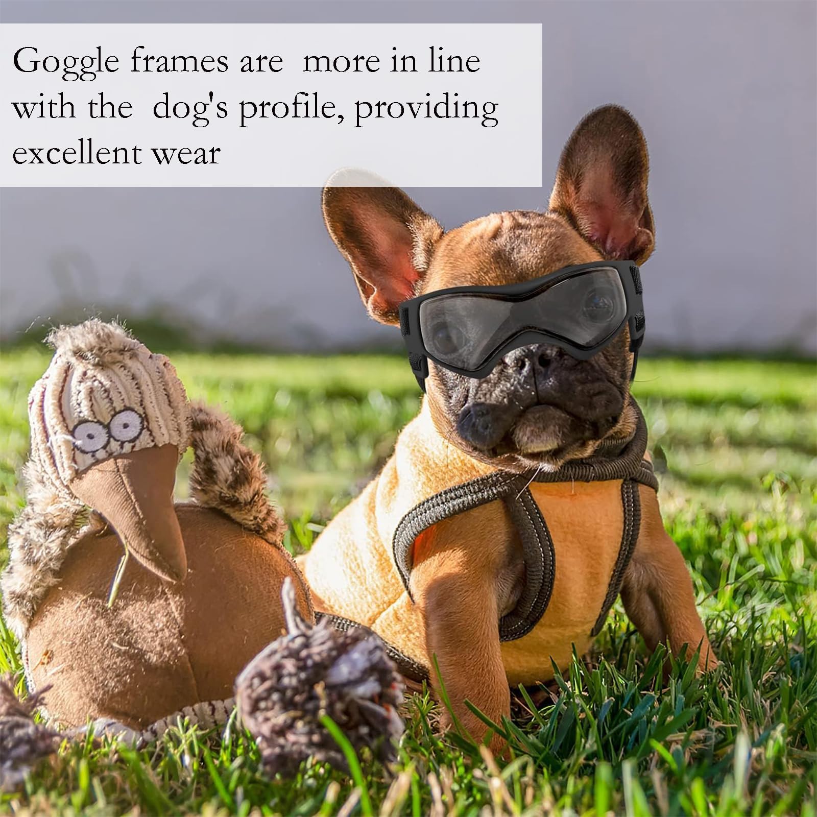 Hundebrille UV-Schutz Sonnenbrille für Kleine Mittelgroße Hunde