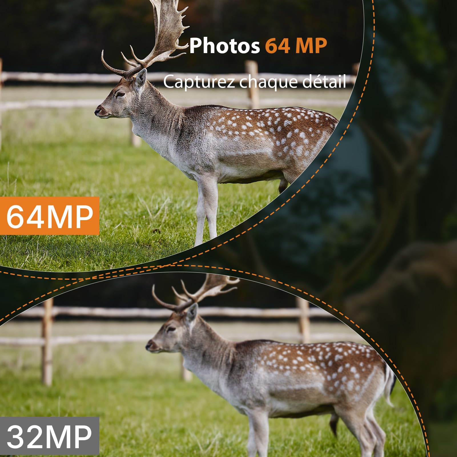 GardePro E6 Camera de Chasse WiFi, 64MP, vidéo 1296p H.264, Angle de Vue 110°, caméra de Chasse avec Vision Nocturne, détection de Mouvement, piège Photographique pour Jardin
