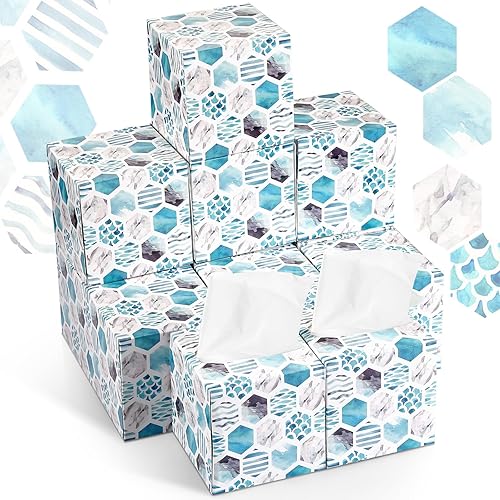 Paquete de 12 cajas de pañuelos faciales, caja de pañuelos con 80 pañuelos por caja, 2 capas de tejido facial suave a granel, caja cuadrada para