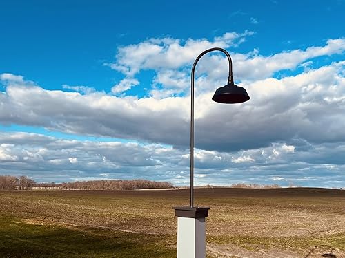 Miniatura 7 de Steel Lighting Co. Redondo - Luz de granero  Montaje en pared al aire libre  Cúpula de 20 pulgadas  Cuello de cisne de 16 pulgadas  Luz grande de