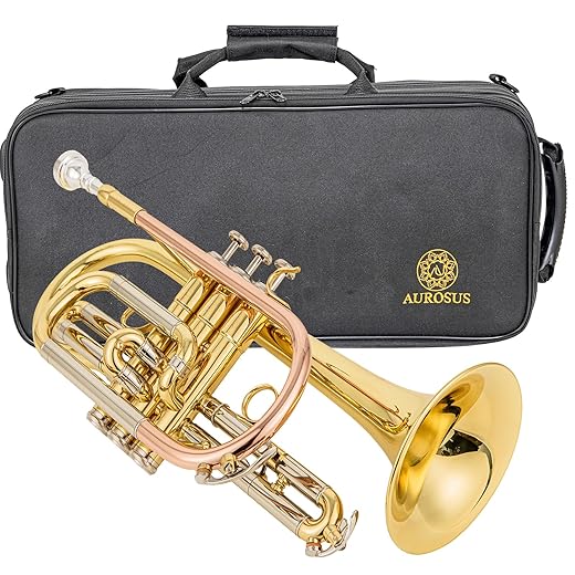 aurousus bb cornet acr 8330 for beginners intermediate players stainless steel valves ml bore gold brass leadpipe 120mm bell lacquered lightweight durable