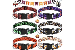 Hocus Pocus Dog Collar: A Spooky Treat for Your Pup