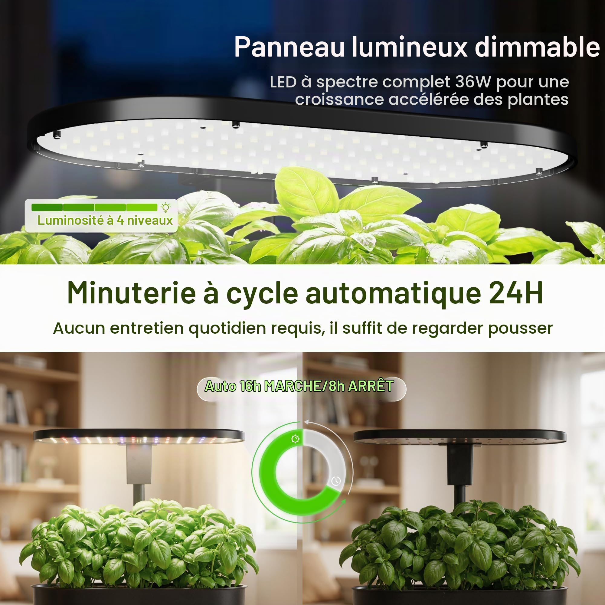 PEGZONE SUNCOZE Potager Hydroponique Amovible avec 12 Paniers, Noir | Jardin d'Intérieur avec Lampe LED 36W, Réservoir 5L, Hauteur Réglable jusqu'à 550 mm, Kit Hydroponique avec Minuterie