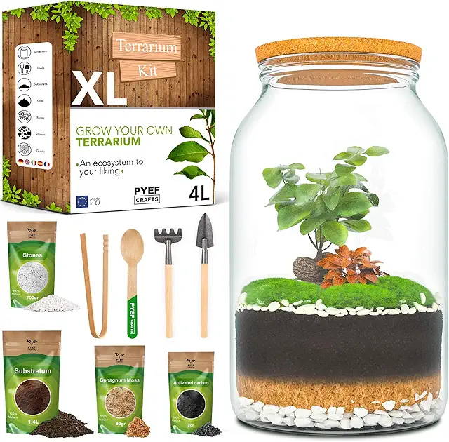 XL DIY Terrarium Kit for Adults - 4L Glass Jar Self-Sustaining Ecosystem