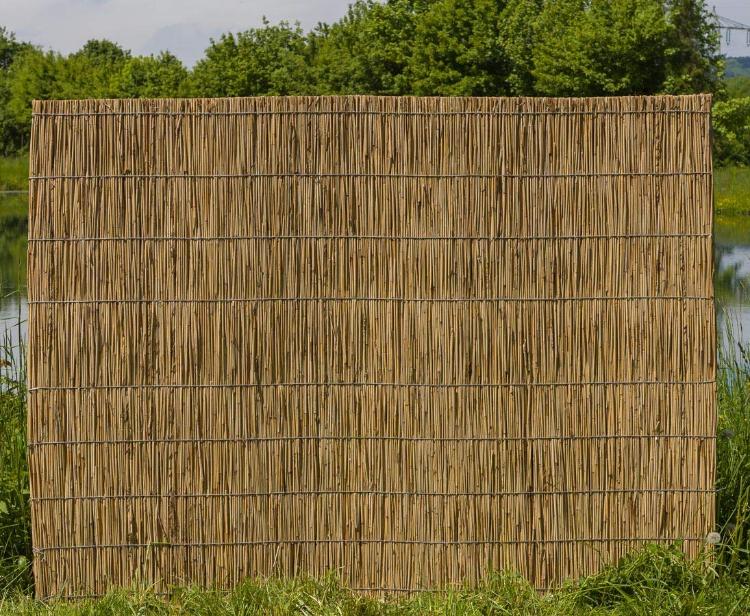 bambus-discount.com Schilfrohrplatte Usedom mit 125 x 200cm und 2,5cm Materialstärke - Dicke starre Schilfplatte als Dämmmaterial