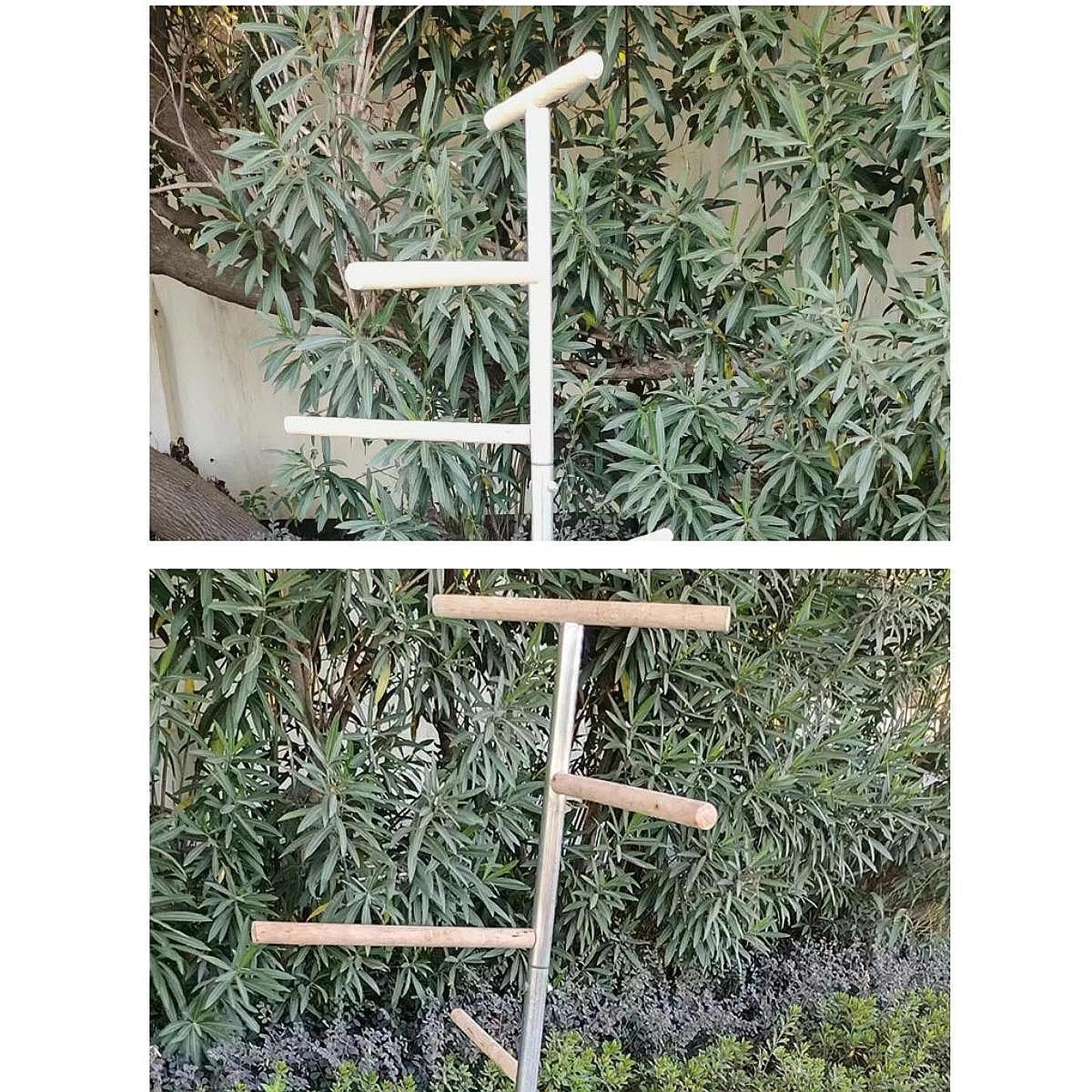 Criadora de guacamayos para Pollitos, gallinas Grandes, Perchas para Pollos, Barra de Descanso, Soporte para Madera para Pollitos, Percha, Soporte Entrenamiento para Aves, Experiencia