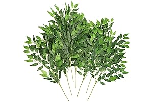 CEWOR Greenery Stems for Lush Bouquets