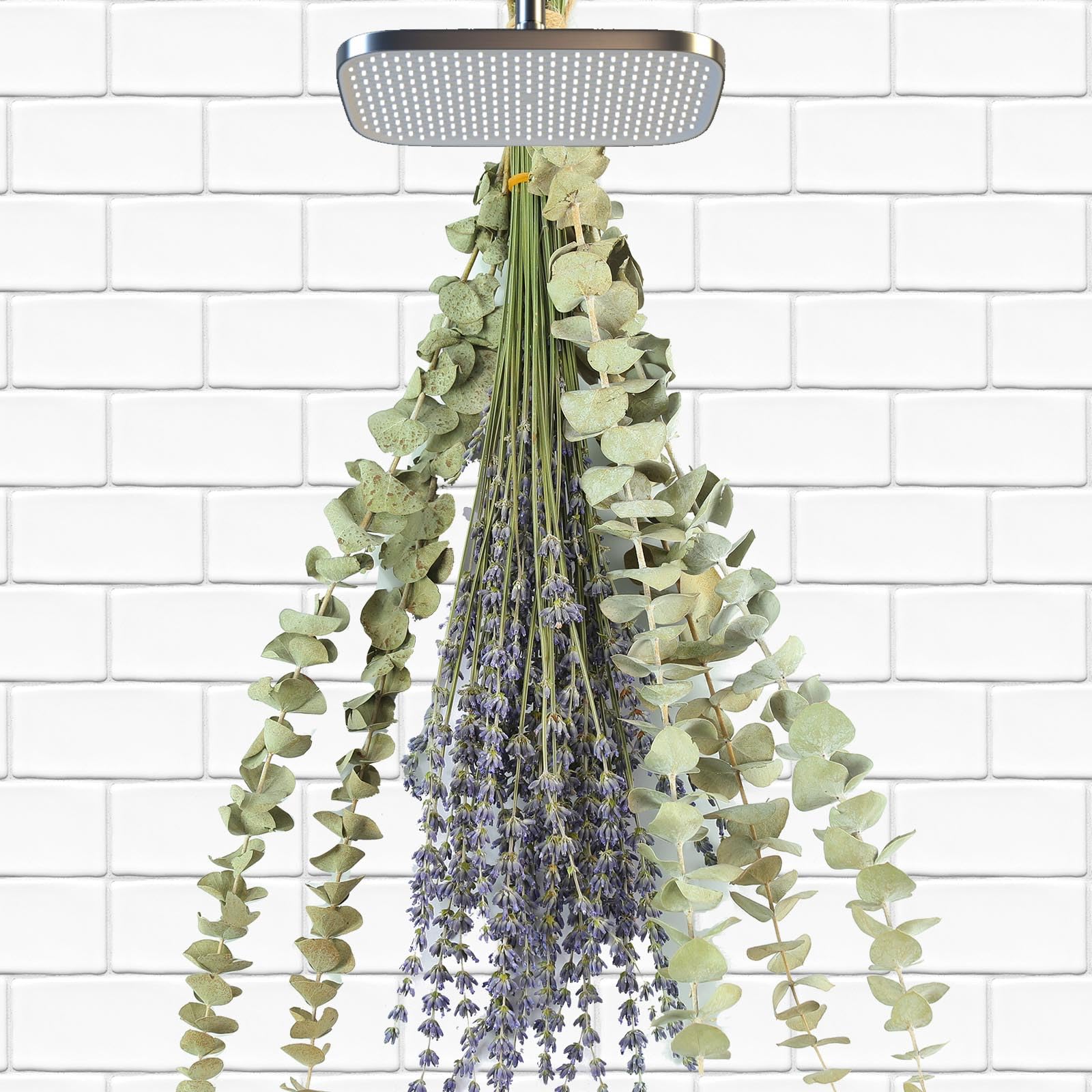 65 Pcs Dried Eucalyptus Stems &amp; Lavender Flowers Bundles for Shower Hanging