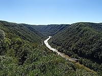 Review Image by @DaveVet0429