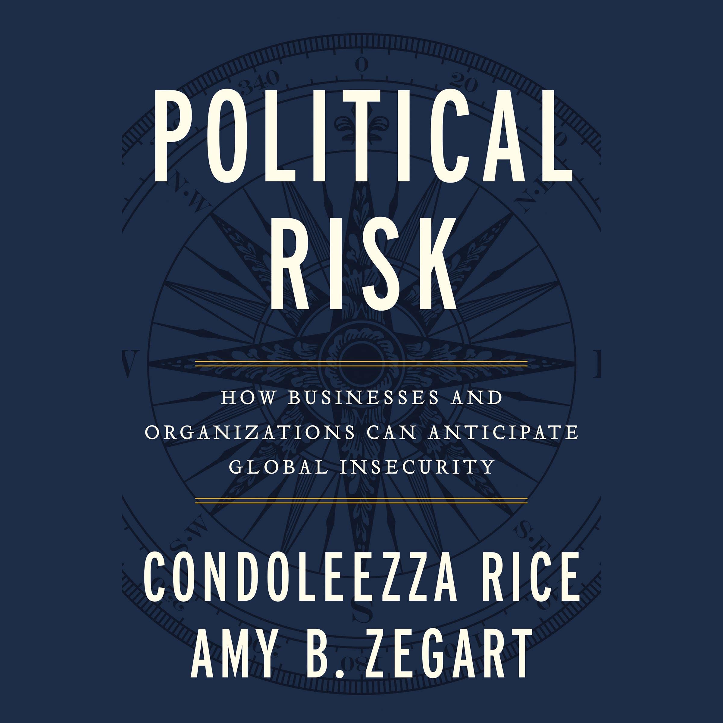 Cover art for Political Risk