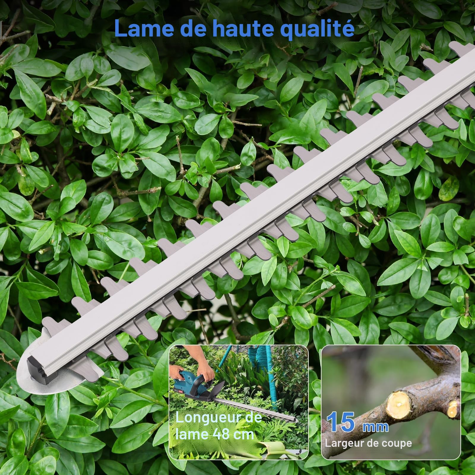 Taille Haie Electrique Batterie Nexalite 21V, 2 Batteries 2000 mAh