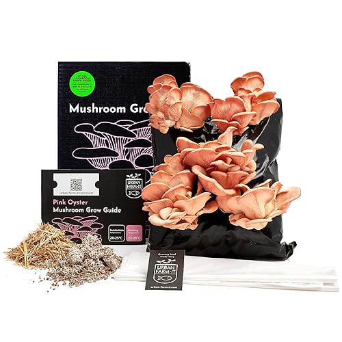 Urban Farm-It Mushroom Growing Kit (XL Pink Oyster) | Gardening Gifts for Women, Men & Kids | with Voucher to Claim Living Spawn Separately for Better Yield | Fun, Easy to Use & Delicious to Eat - XL - Pink Oyster