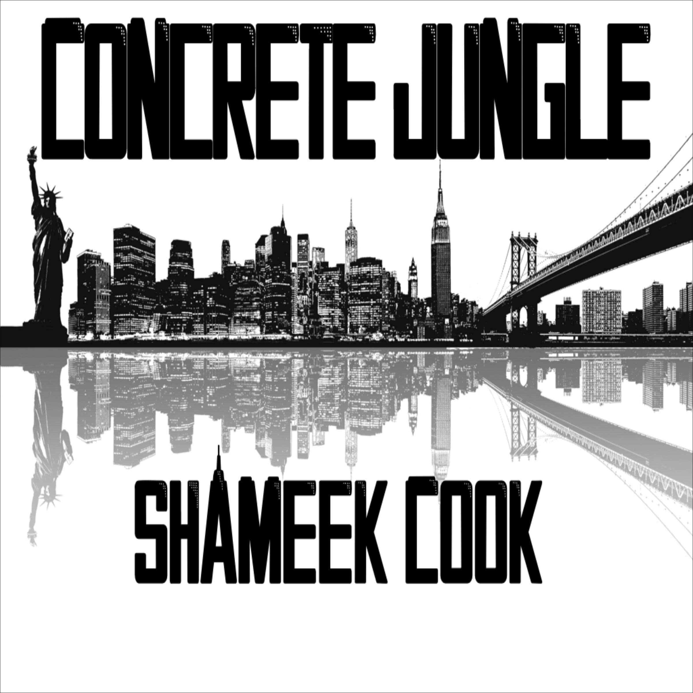 Cover art for Concrete Jungle