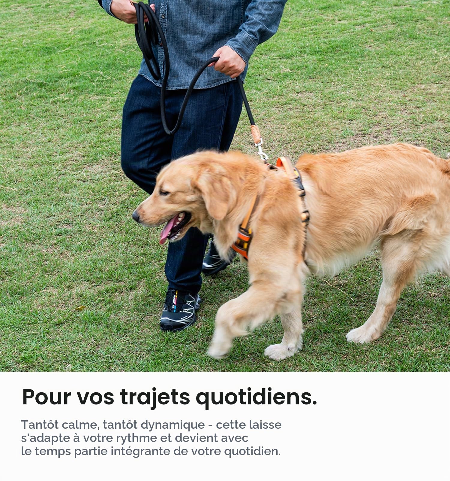 Laisse en corde pour chien - En nylon - Pour chiens de petite, moyenne et grande taille - Légère avec boucle - Pour petits chiens - Robuste - Kaki - 3 m x 1,2 cm
