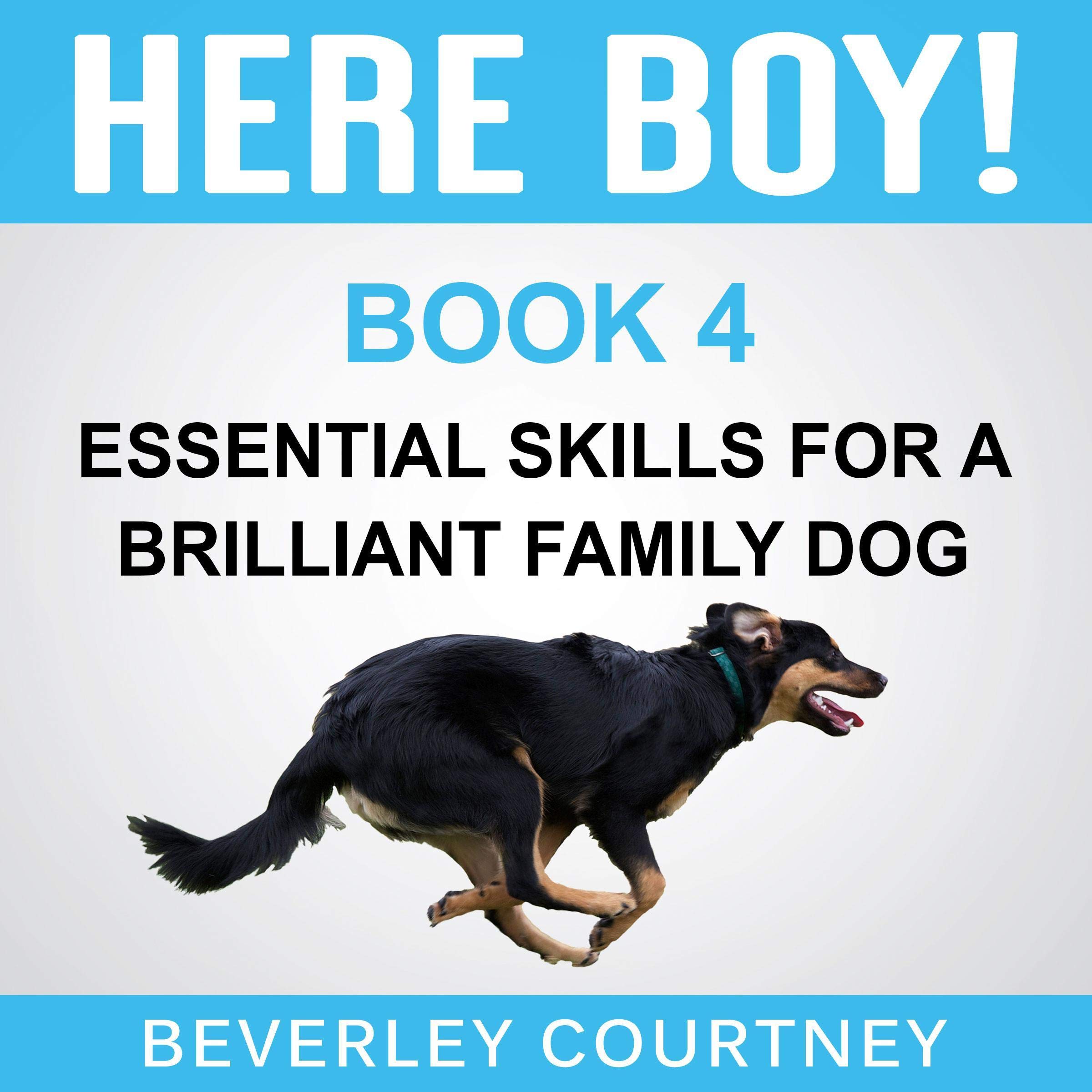 Here Boy!: Step-By-Step to A Stunning Recall from Your Brilliant Family Dog