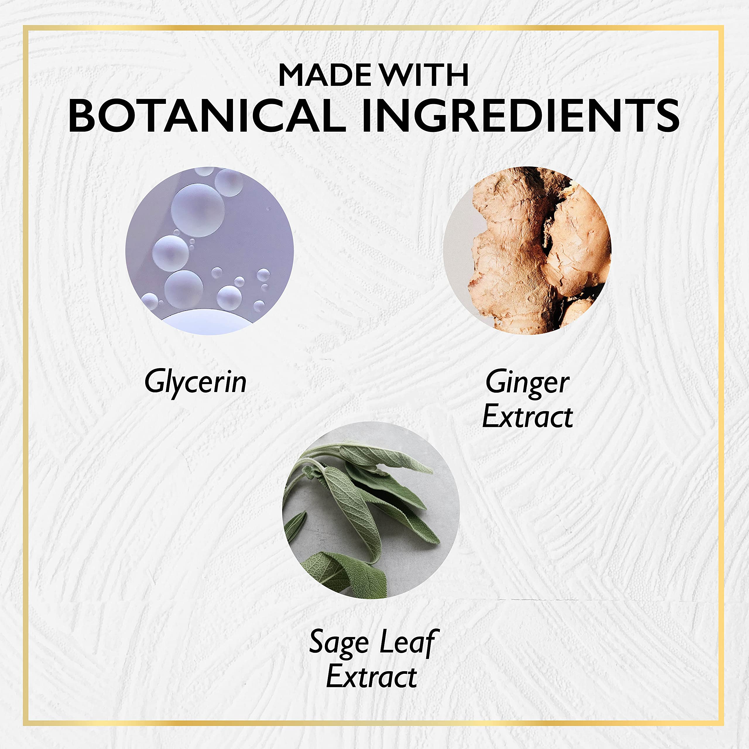 Botanifique Hydra Power Puffiness-No-More, Eye Cream for Lines