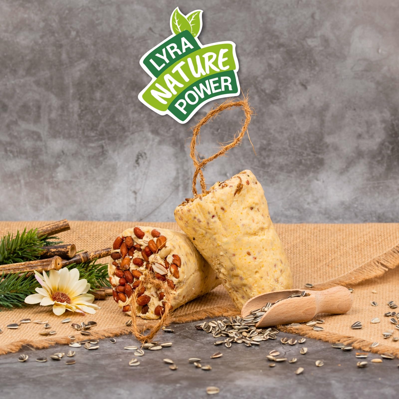Lyra Pet® 3 x 12 STK. Energie Boost Nuss Riegel mit Erdnüssen Fettfutter | Wertvolle Energiequelle für Wildvögel - Fettreiches, ganzjähriges Vogelfutter mit Erdnussbutter, Saaten & Kernen