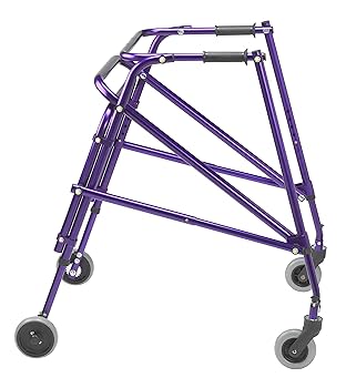 Amazon.com: Drive Nimbo 2G Lightweight Posterior Walker