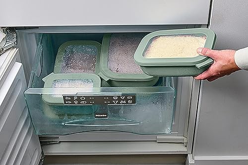 Miniatura 5 de Mepal Cirqula Multi Bowl Rectangular 67.6 fl oz Nordic Berry Polipropileno