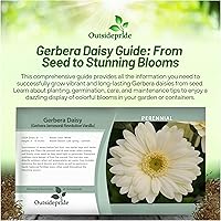 Vista 82 de Outsidepride Bicolor Mix Gerbera Seeds - 10 Pcs Perennial, Compact & Low Maintenance, Flower Seeds for Planting w/Vibrant Mixed Blooms, Ideal for