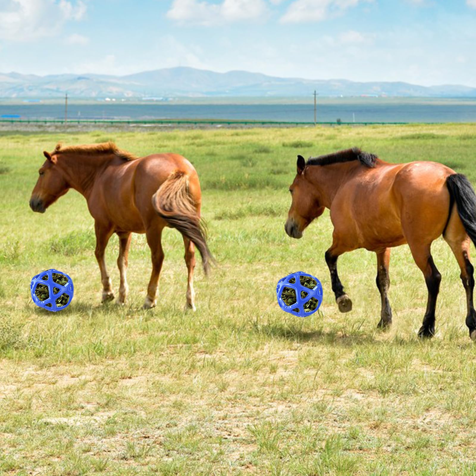 Pelota de juguete para caballos de 19 cm, rellenable con zanahorias, alivio del estrés